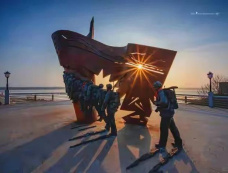 《海天雄鹰》电视剧看点有哪些