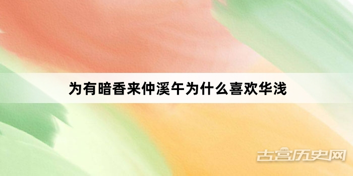 为有暗香来仲溪午为什么喜欢华浅