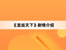 《龙巡天下》剧情介绍