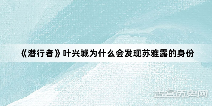 《潜行者》叶兴城为什么会发现苏雅露的身份