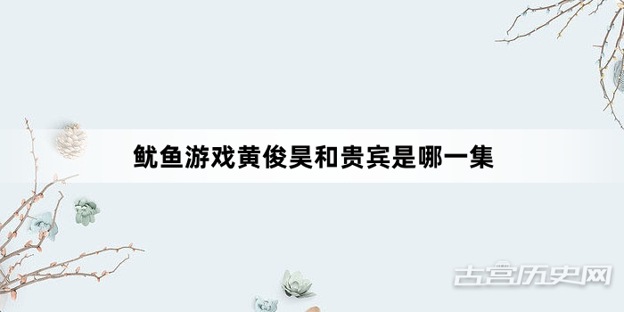 鱿鱼游戏黄俊昊和贵宾是哪一集
