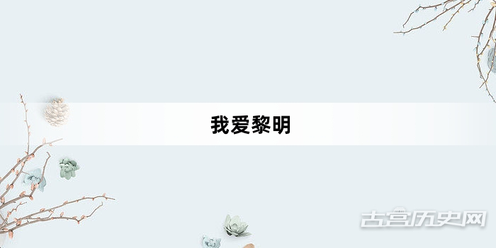 “我爱黎明”网络梗词解释