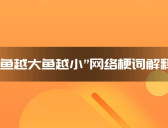 “鱼越大鱼越小”网络梗词解释