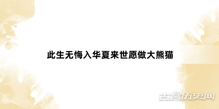“此生无悔入华夏来世愿做大熊猫”网络梗词解释