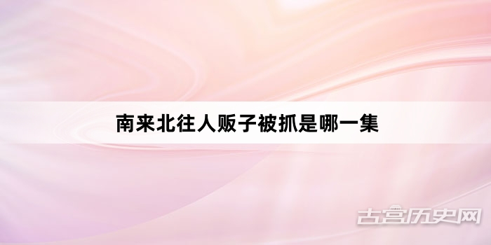 南来北往人贩子被抓是哪一集