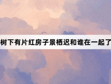 树下有片红房子景栖迟和谁在一起了