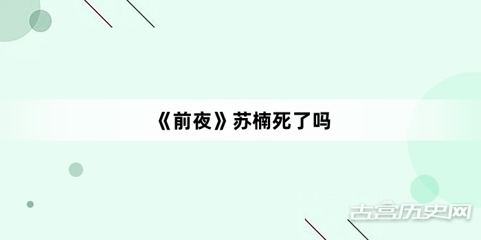 《前夜》苏楠死了吗