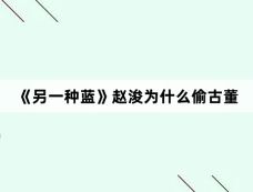 《另一种蓝》赵浚为什么偷古董