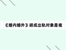 《婚内婚外》胡成出轨对象是谁
