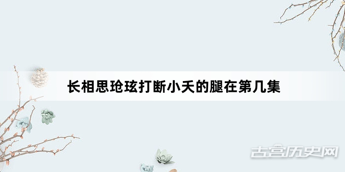 长相思玱玹打断小夭的腿在第几集