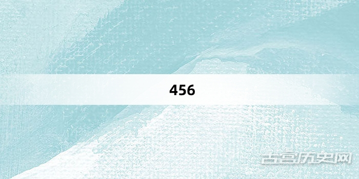 “456”网络梗词解释