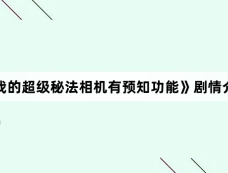 《我的超级秘法相机有预知功能》剧情介绍