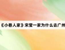 《小巷人家》宋莹一家为什么去广州