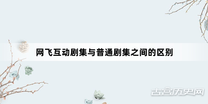网飞互动剧集与普通剧集之间的区别
