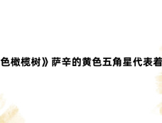 《白色橄榄树》萨辛的黄色五角星代表着什么