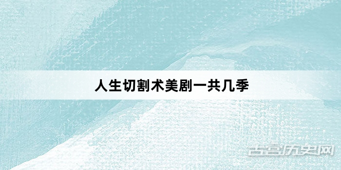 人生切割术美剧一共几季