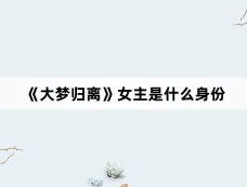 《大梦归离》女主是什么身份