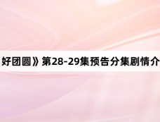 《好团圆》第28-29集预告分集剧情介绍
