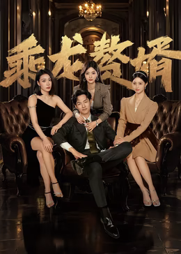 《乘龙赘婿》剧情介绍