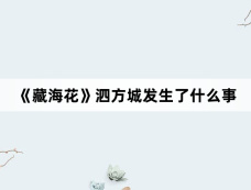 《藏海花》泗方城发生了什么事
