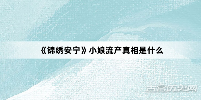 《锦绣安宁》小娘流产真相是什么
