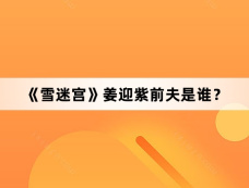 《雪迷宫》姜迎紫前夫是谁？