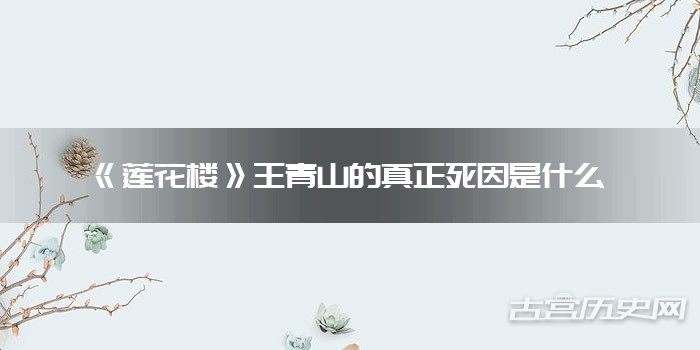 《莲花楼》王青山的真正死因是什么