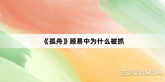 《孤舟》顾易中为什么被抓