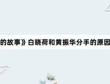 《玫瑰的故事》白晓荷和黄振华分手的原因是什么