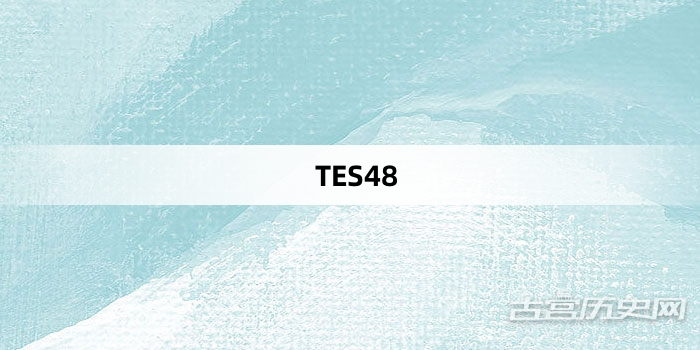 “TES48”网络梗词解释