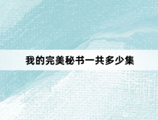 我的完美秘书一共多少集