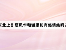 《北上》夏凤华和谢望和有感情线吗?
