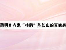 《暗夜与黎明》内鬼“林鸱”陈如山的真实身份是什么