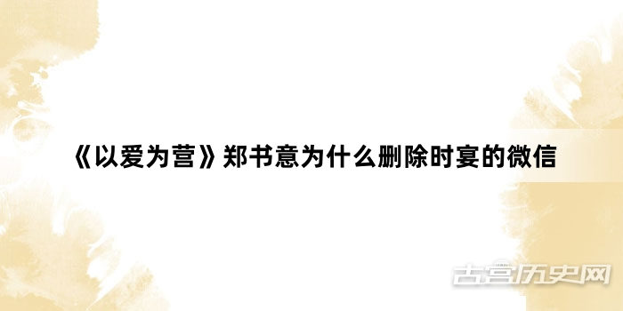 《以爱为营》郑书意为什么删除时宴的微信