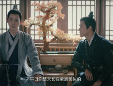 《柳叶摘星辰》第17集分集剧情介绍