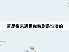 苦尽柑来遇见你韩剧是谁演的