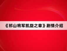 《祁山将军凯旋之章》剧情介绍