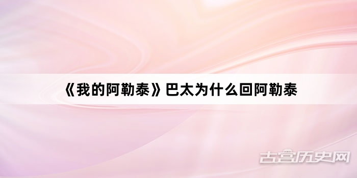 《我的阿勒泰》巴太为什么回阿勒泰
