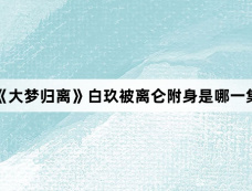 《大梦归离》白玖被离仑附身是哪一集