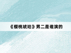 《樱桃琥珀》男二是谁演的
