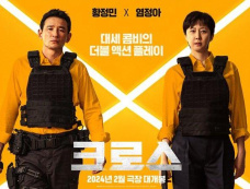 电影《跨界任务》剧情介绍