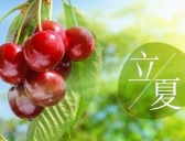 立夏时节适合从事哪些农业活动