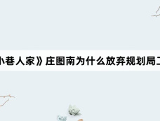 《小巷人家》庄图南为什么放弃规划局工作