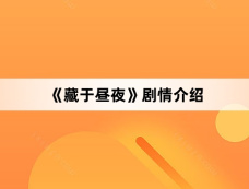 《藏于昼夜》剧情介绍
