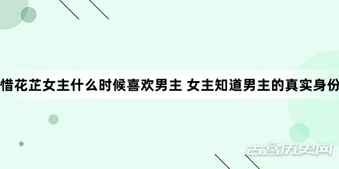 惜花芷女主什么时候喜欢男主 女主知道男主的真实身份码