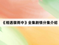 《相遇骤雨中》全集剧情分集介绍