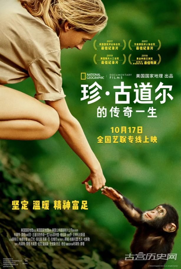 电影《珍·古道尔的传奇一生》有哪些看点