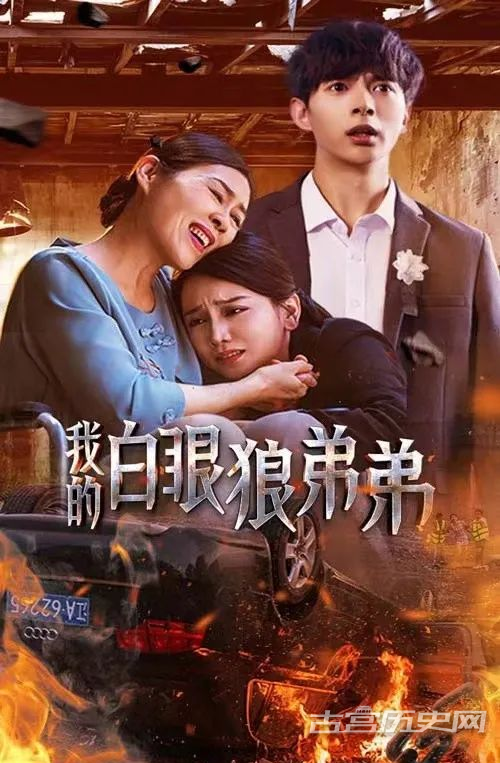《我的白眼狼弟弟》剧情介绍