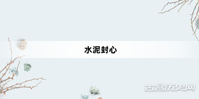 “水泥封心”网络梗词解释