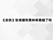 《赤热》张海潮和黄林希离婚了吗